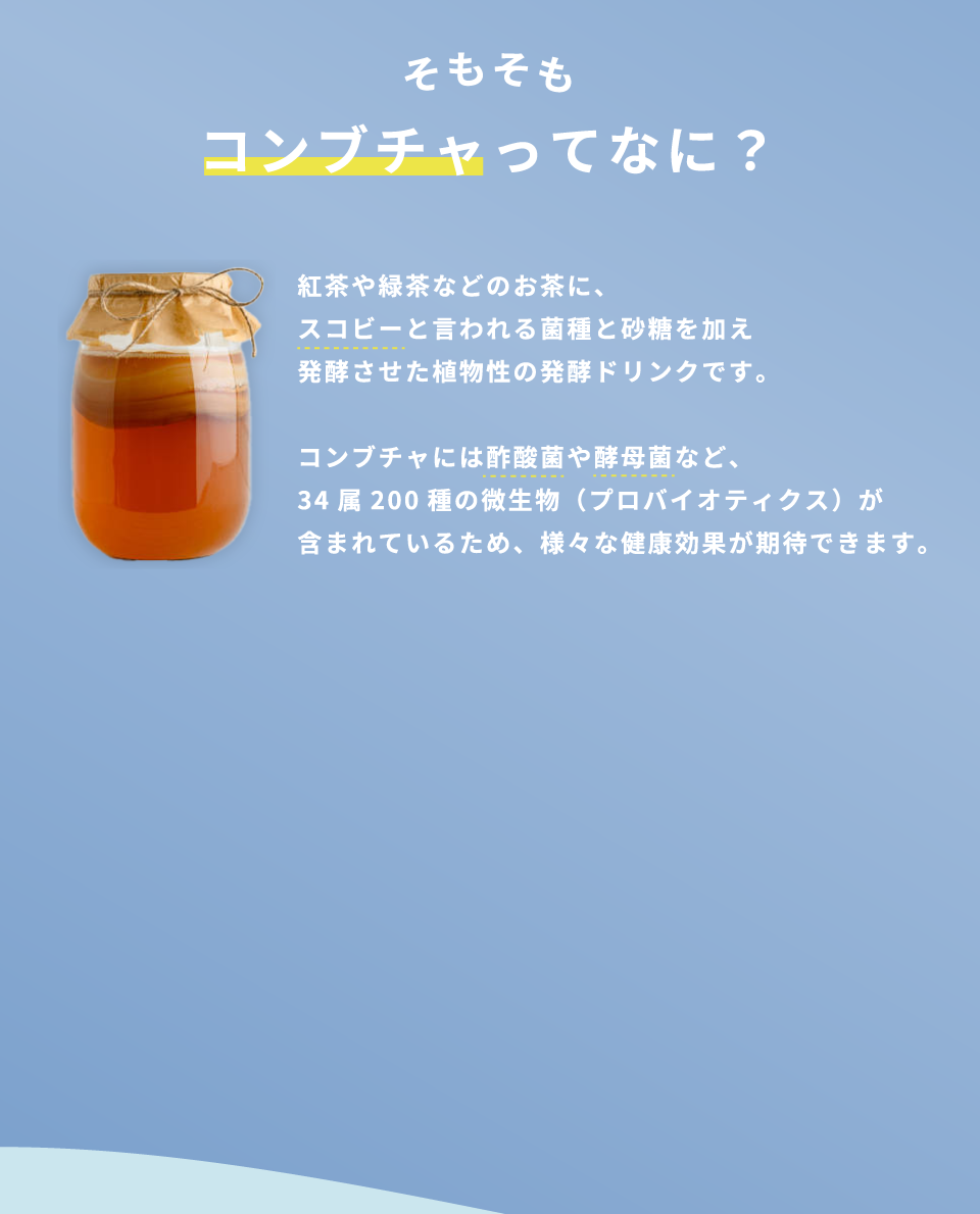 そもそもコンブチャってなに？